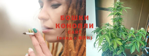 дживик Дмитриев