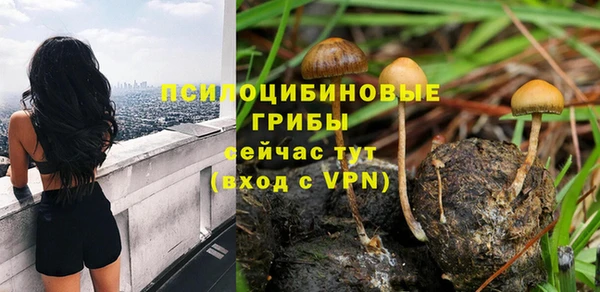 прущая мука Дмитров