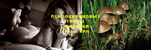 прущая мука Дмитров