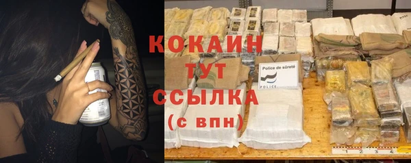 дживик Дмитриев