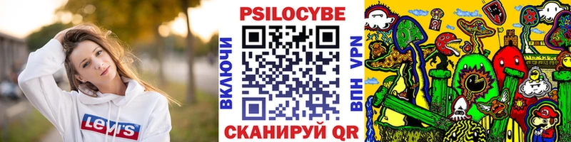 Псилоцибиновые грибы Psilocybine cubensis  где продают   Сасово 